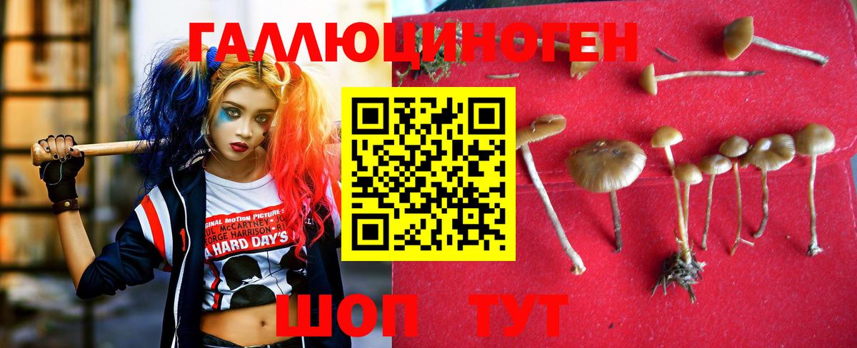 даркнет сайт  Вход с VPN  Минусинск  Галлюциногенные грибы GOLDEN TEACHER 